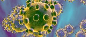 coronavirus coronavirus