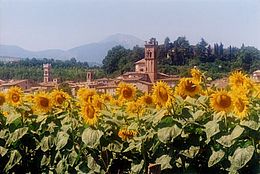 pergola panorama