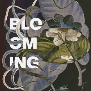 blooming