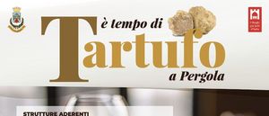 2020 10 E tempo di tartufo