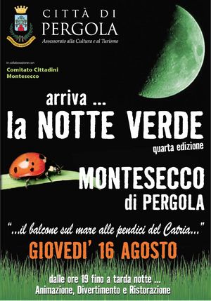 Notte Verde NAVETTA 2012