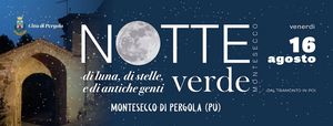 2019 notte verde evento