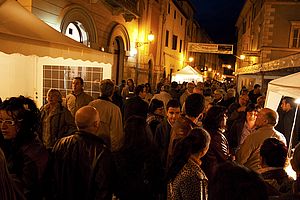 Fiera Tartufo Bianco Pergola 6