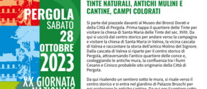 Locandina e manifesto Trekking 2023