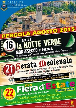 Manifestazioni 2015