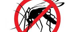 Disinfestazione zanzare Disinfestazione zanzare