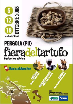 Fiera del tartufo 2008 01