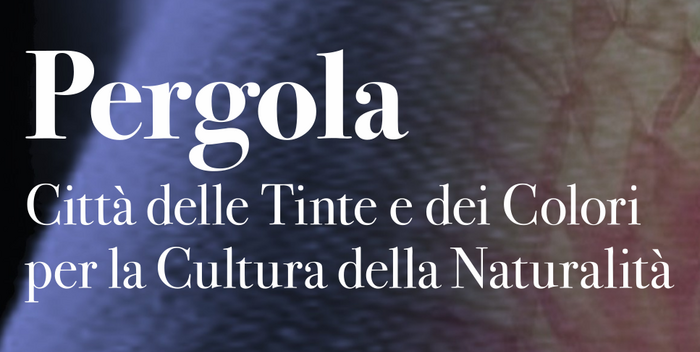 CittaDelleTinte CittaDelleTinte