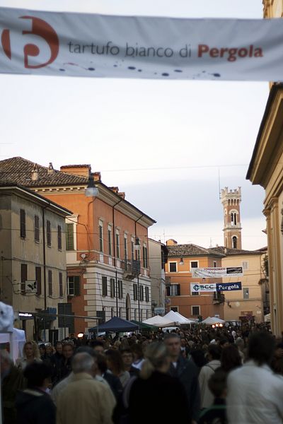 csm_Fiera_Tartufo_Bianco_Pergola_4_c35da822a5