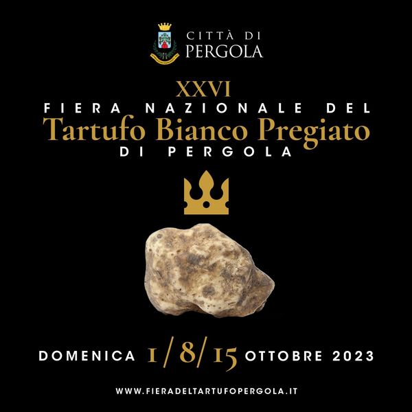 csm_grafica_square_3dd535edb9